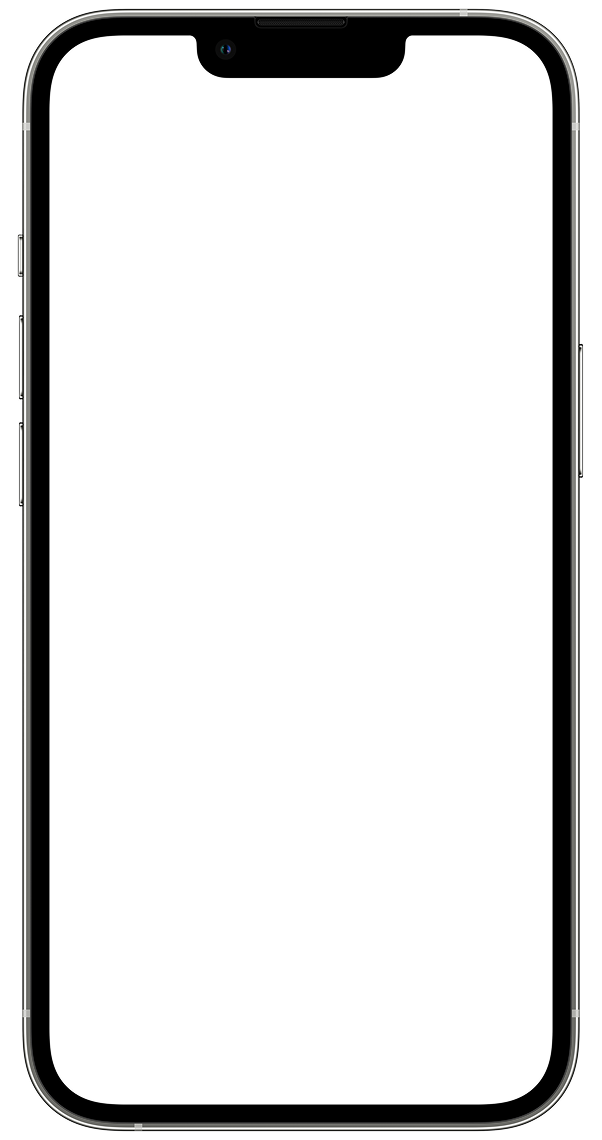 Phone overlay