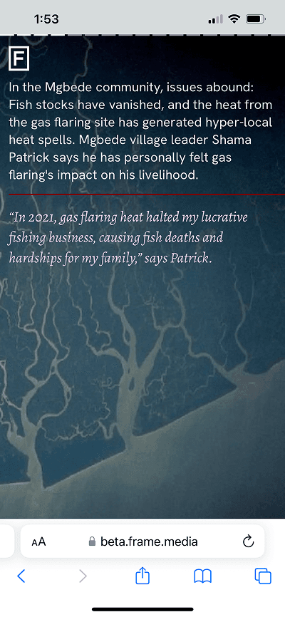 Gas Flaring article view 4