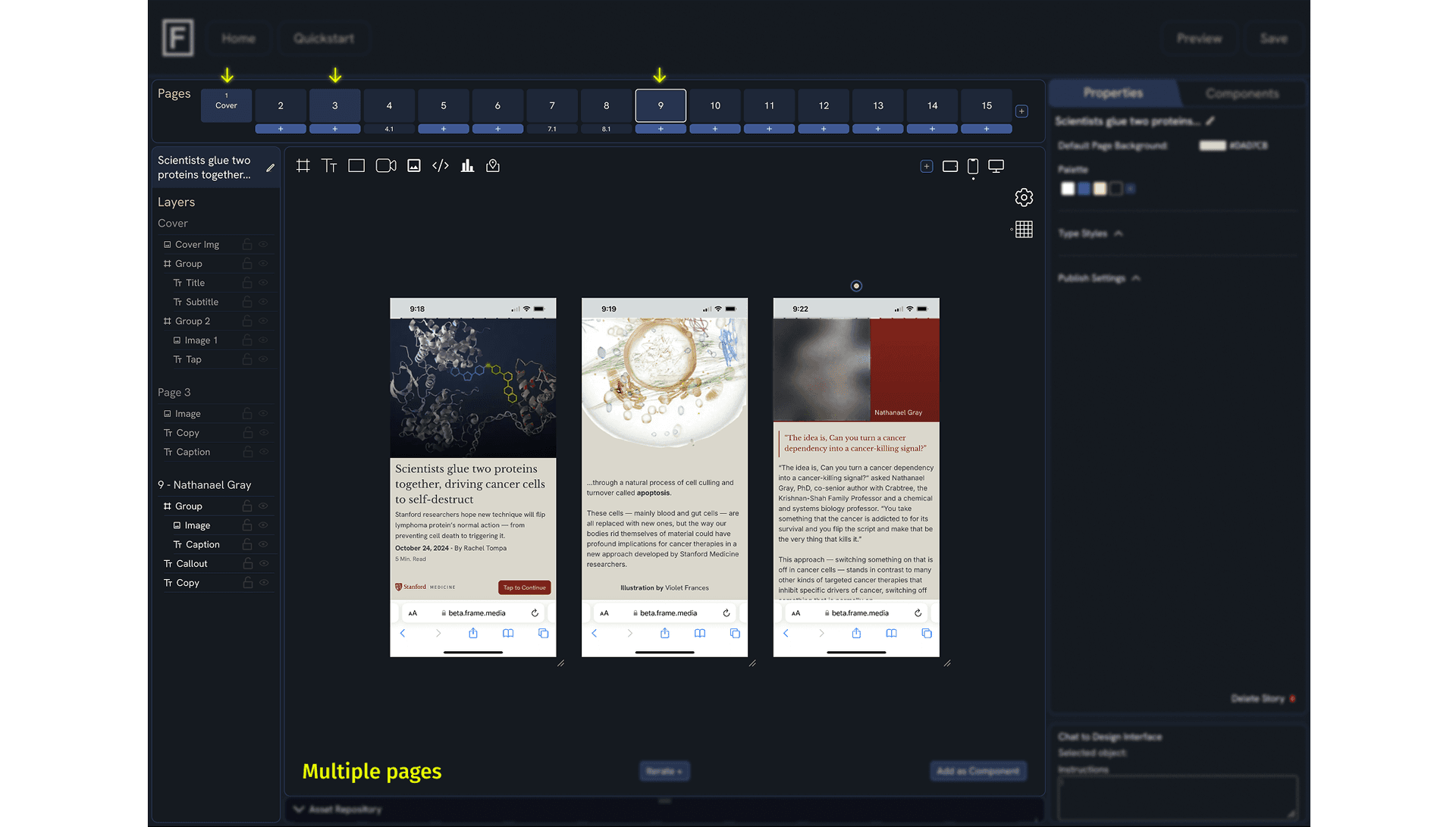 CMS Layers Interface